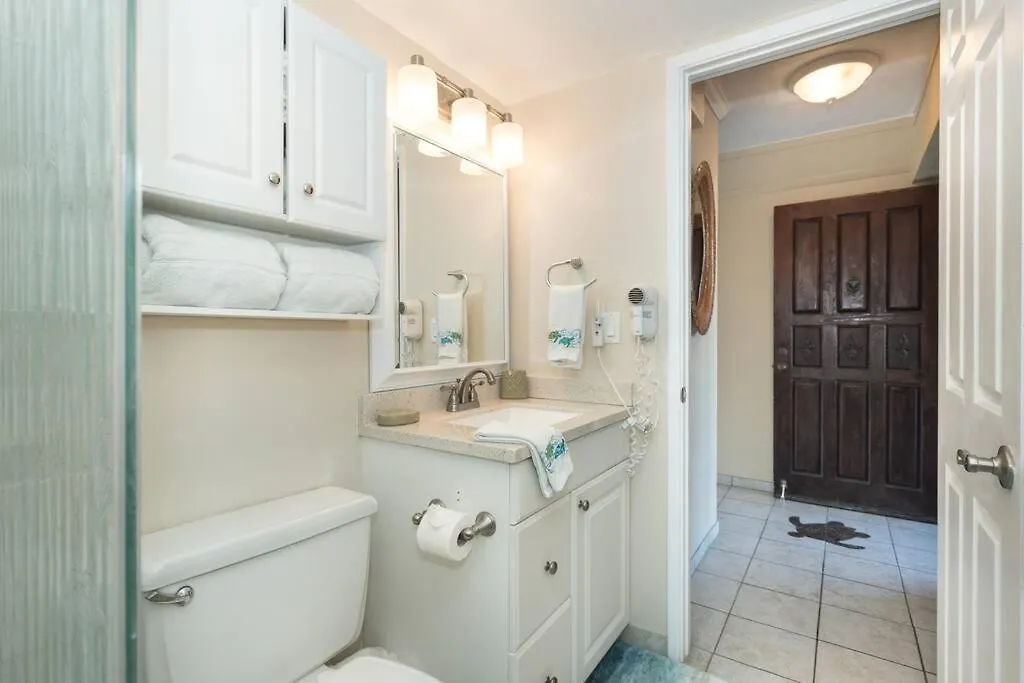 Ocean View Condo, Stunning Views! - Kona Reef E-22 By Casago Kona 카일루아 코나 미국