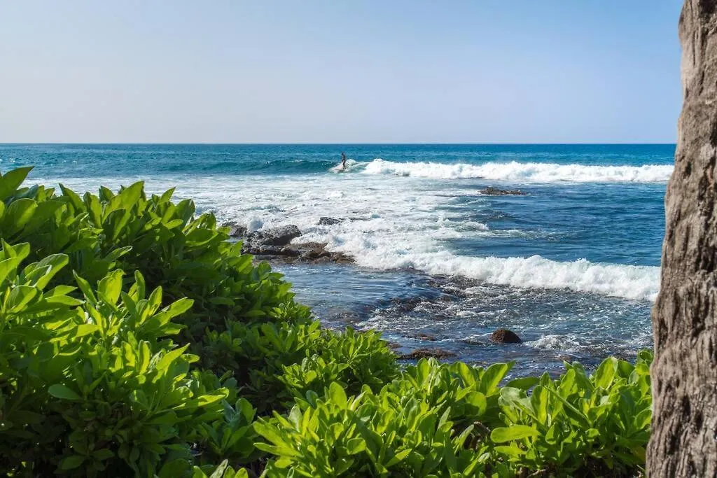 펜션 Ocean View Condo, Stunning Views! - Kona Reef E-22 By Casago Kona 카일루아 코나
